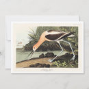 Search for james cards Bird