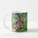 Search for attentive mugs Appreciation