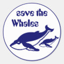 Search for save whales stickers Humpback