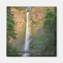 Search for judy magnets Nature