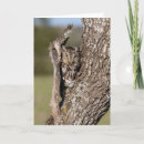 Search for larry cards Danita delimont