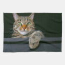 Search for grey cat tea towels Cute