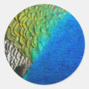 Search for ive stickers Nature