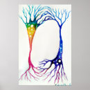 Search for neuron posters Brain