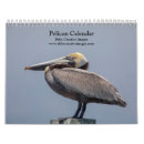 Search for pelican calendars Nature