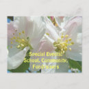 Search for event postcards School