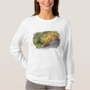 Search for aspen tree tshirts Autumn