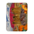 Search for ayers magnets Kangaroo