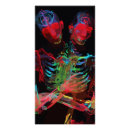 Search for fusion posters Vibrant colours