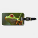 Search for scale leaf accessories Cold blooded