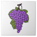 Search for fruit tiles Purple grapes