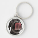 Search for labrador key rings Animal
