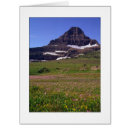 Search for montana cards National
