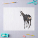 Search for goat tissue paper Nature