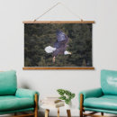 Search for bald eagles photography Nature