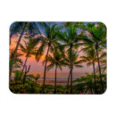 Search for nationalities magnets Landscape