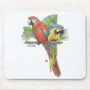 Search for and gold macaw electronics Nature