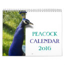 Search for peacock calendars Peafowl