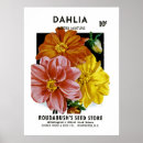 Search for packet posters Flower