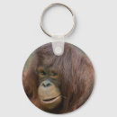 Search for straw key rings Hay