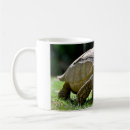 Search for spur mugs Tortoise