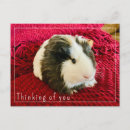 Search for edit postcards Cute