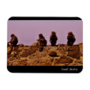 Search for baboon kitchen dining Animals