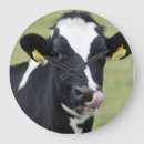 Search for holstein posters White
