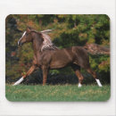 Search for grassy mousepads Equestrian