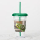 Search for parakeet drinkware Budgie