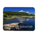 Search for stream magnets Photograph