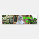 Search for shih tzu bumper stickers Dog