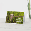 Search for possum birthday cards Funny
