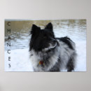 Search for australian cattle dog decor Canine