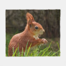 Search for red squirrel blankets Wildlife