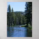 Search for pine trees mountains posters Nature