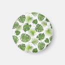 Search for tropical design magnets Summer