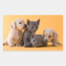 Search for russian blue stickers Kitten