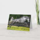 Search for dapple grey cards Breed