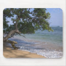 Search for kauai mousepads Island