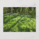 Search for wilds postcards Woodland