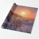 Search for coast wrapping paper Beach