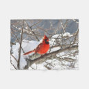 Search for red cardinal bird blankets Wildlife