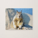 Search for squirrel puzzles Wildlife