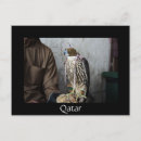 Search for falconry postcards Bird