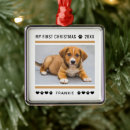 Search for new puppy christmas tree decorations Cute