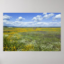 Search for farm scene posters Rural