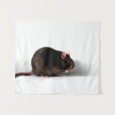 Search for cute rats art Animal