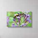 Search for bug canvas prints Photography