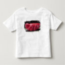 Search for sites clothing Century
